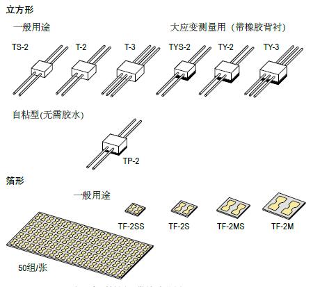 尊龙人生就是博ag旗舰厅(中国)官方网站