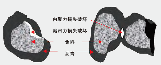 尊龙人生就是博ag旗舰厅(中国)官方网站